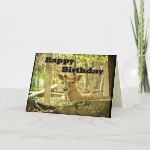 Birthday Card - Whitetail Deer Buck in Velvet Kaart
