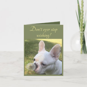 Birthday Card Wishing French Bulldog dandelion Kaart