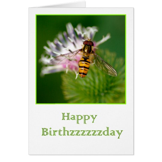 Birthday card with wasp on a thistle flower briefkaarten 0