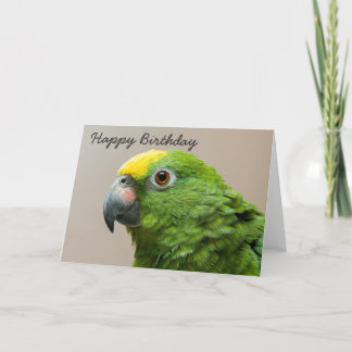 Birthday card Yellow Headed Amazon Parrot Kaart