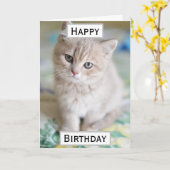 Birthday Cat Dad World's Best Ever Pet Photo Kaart (Gele Bloem)