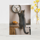 Birthday Cat for Getting Older Humor Kaart (Gele Bloem)