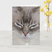 Birthday Cat Kaart (Gele Bloem)