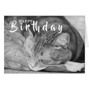 Birthday Cat Kaart   Pet Lover Wenskaart
