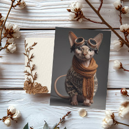 Birthday Cat Pilot Aviator Cool Funny Aviation Kaart