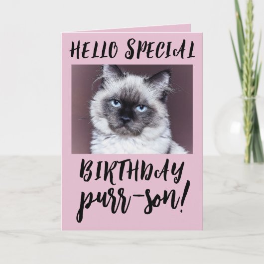 BIRTHDAY CAT SIAMESE PERSIAN WENSKAART KAART (Voorkant)