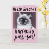 BIRTHDAY CAT SIAMESE PERSIAN WENSKAART KAART (Gele Bloem)
