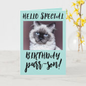 BIRTHDAY CAT SIAMESE PERSIAN WENSKAART KAART (Gele Bloem)