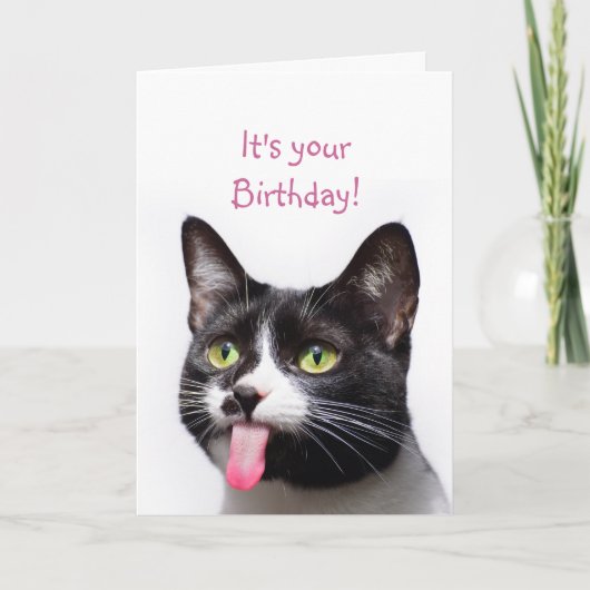 Birthday Cat Sticking out Tongue Funny Humor Kaart (Voorkant)