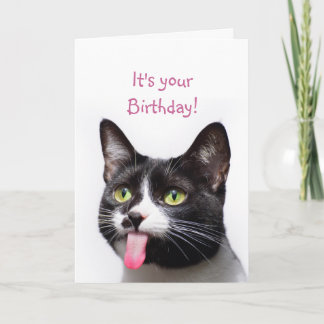 Birthday Cat Sticking out Tongue Funny Humor Kaart