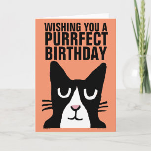 BIRTHDAY CAT-Wenskaarten, Panda-Kat, Tuxedo Kaart