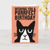 BIRTHDAY CAT-Wenskaarten, Panda-Kat, Tuxedo Kaart (Gele Bloem)
