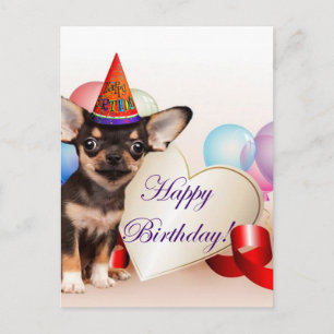 Birthday Chihuahua dog Briefkaart