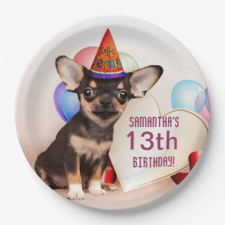 Birthday Chihuahua gepersonaliseerd papieren bord