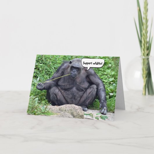 Birthday Chimpansee humor Kaart (Voorkant)