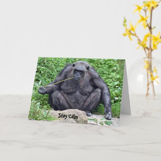 Birthday Chimpansee Kaart (Gele Bloem)