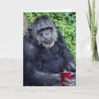 Birthday Chimpansee met Red Cup