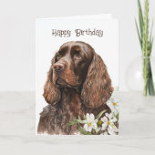 Birthday Chocolate Cocker Spaniel Kaart (Voorkant)