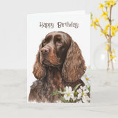 Birthday Chocolate Cocker Spaniel Kaart (Gele Bloem)