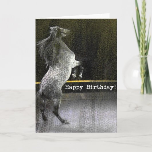 Birthday Circus Horse Lace Texture Kaart (Voorkant)
