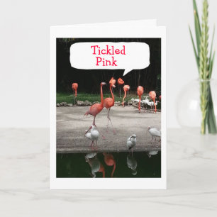 BIRTHDAY COMPLIMENT FLAMINGOS ZIJN "TICKLED PINK" KAART