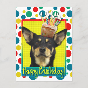 Birthday Cupcake - Australian Kelpie - Jude Briefkaart