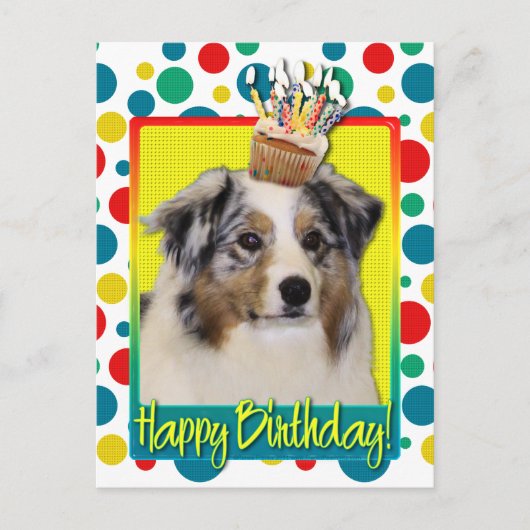 Birthday Cupcake - Australian Shepherd Briefkaart (Voorkant)