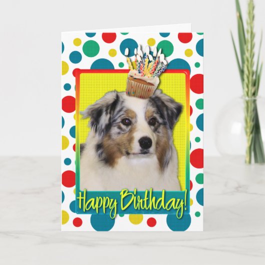 Birthday Cupcake - Australian Shepherd Kaart (Voorkant)