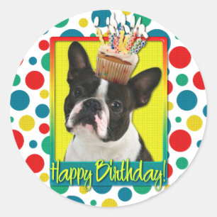 Birthday Cupcake - Boston Terrier Ronde Sticker
