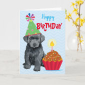 Birthday Cupcake Bouvier des Flandres Card Kaart (Gele Bloem)