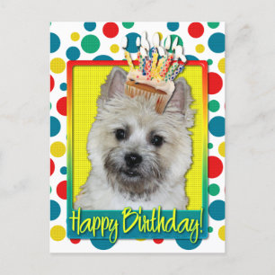 Birthday Cupcake - Caïro Terrier - Teddy Bear Briefkaart