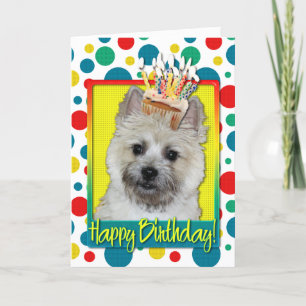 Birthday Cupcake - Caïro Terrier - Teddy Bear Kaart