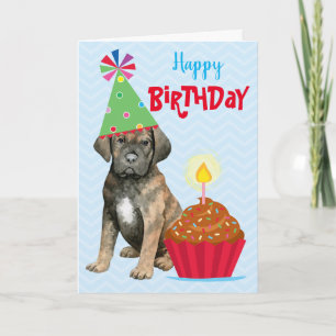 Birthday Cupcake Cane Corso Kaart