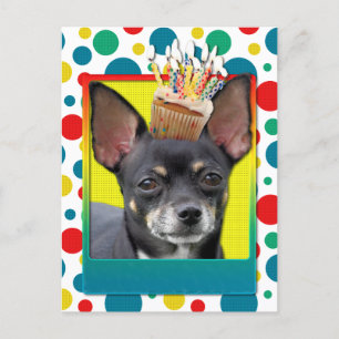 Birthday Cupcake - Chihuahua - Isabella Briefkaart