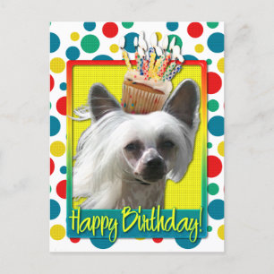 Birthday Cupcake - Chinese Crested - Kahlo Briefkaart