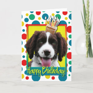 Birthday Cupcake - English Springer Spaniel - Baxt Kaart