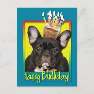 Birthday Cupcake - French Bulldog - Blauwgroen Briefkaart