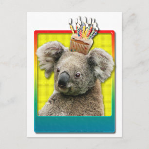 Birthday Cupcake Koala Briefkaart