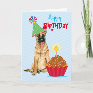 Birthday Cupcake Malinois Kaart
