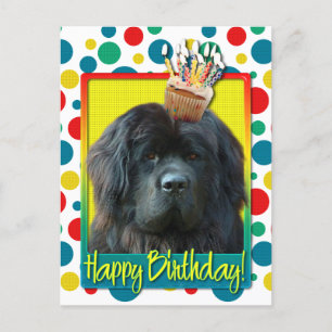 Birthday Cupcake - Newfoundland Briefkaart