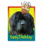 Birthday Cupcake - Newfoundland Staand Fotobeeldje<br><div class="desc">Viel een verjaardag met dit griezelige Newfoundland Dog Wenskaart. Met een kaktaart gebalanceerd op het hoofd,  is dit ontwerp zeker om een glimlach en kronkelen te brengen! btw,  heeft dit ontwerp verscheidene versies,  met verschillende achtergrondkleuren. Er is ook een uitnodiging voor een partijversie.</div>