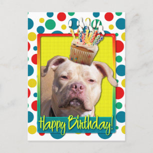 Birthday Cupcake - Pitbull - Jersey Girl Briefkaart