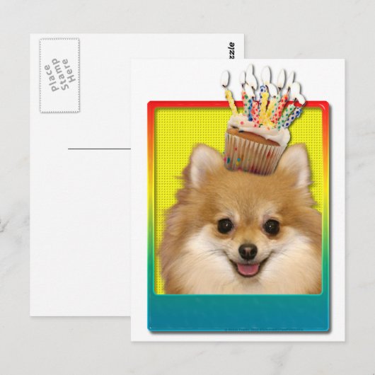 Birthday Cupcake - Pommeren Briefkaart (Voorkant / Achterkant)