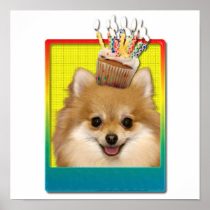 Birthday Cupcake - Pommeren Poster