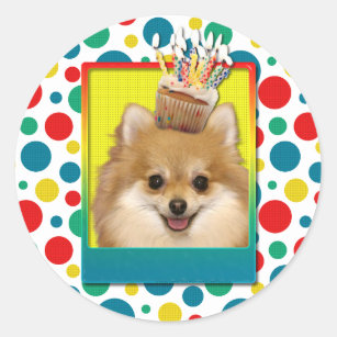 Birthday Cupcake - Pommeren Ronde Sticker