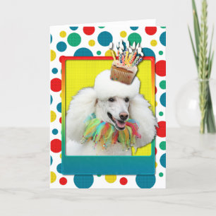 Birthday Cupcake - Poodle - White Kaart