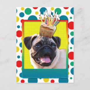 Birthday Cupcake - Pug Briefkaart