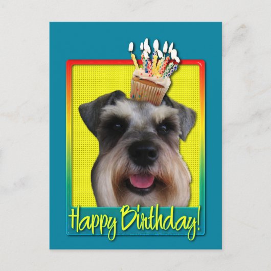 Birthday Cupcake - Schnauzer Briefkaart (Voorkant)