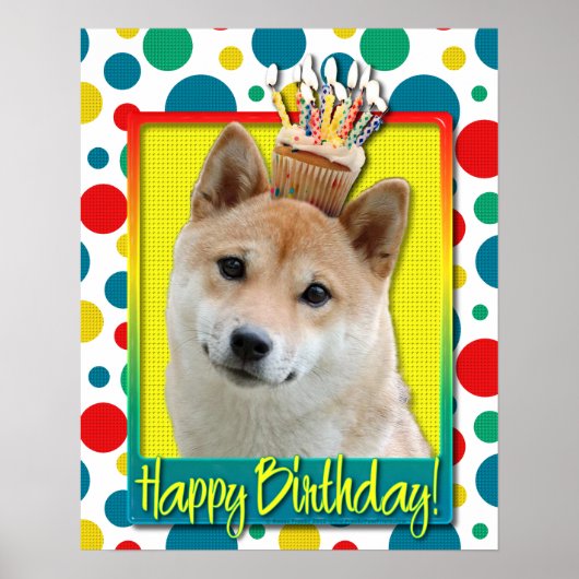 Birthday Cupcake - Shiba Inu Poster (Voorkant)
