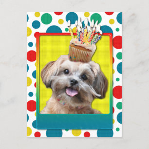 Birthday Cupcake - ShihPoo - Maggie Briefkaart